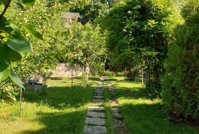 Casă individuală cu 6 camere cu Teren 1800 Mp în Snagov - 7