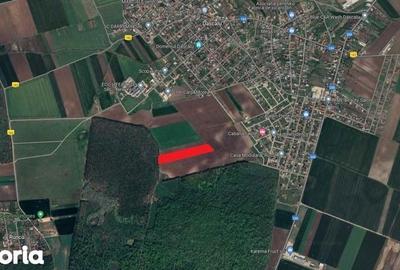 Teren de 13500 mp, în Dascălu