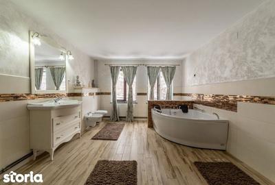 Casă cu 6 camere cu Teren 3745 Mp în Ștefănești - 12