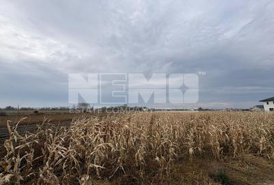 Teren Construcții intravilan de 5200 mp, în Periferie - 1