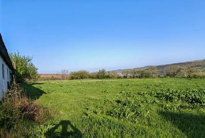 Teren de 7000 mp, în Laza - 2