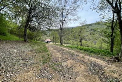 Casă cu 2 camere în Bătrâna - 7