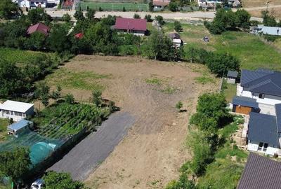 Spațiu comercial, în Vlădiceni - 3