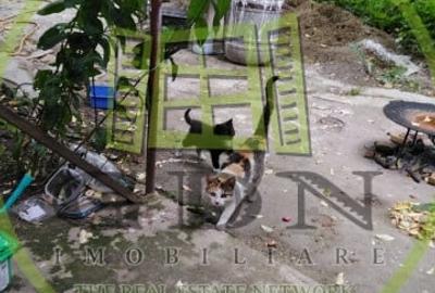 Casa 5 camere cu teren de 1200mp spre vanzare in Ludos jud Sibiu - 8