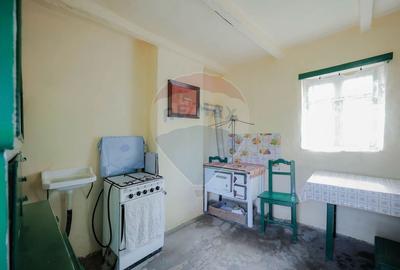 De vanzare casa cu teren de 3036 mp in Bors - 11