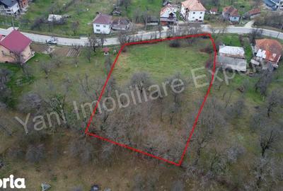 Teren de 2674 mp, în Cepari - 9