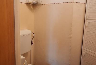 Apartament cu 4 camere decomandat în Pantelimon - 10