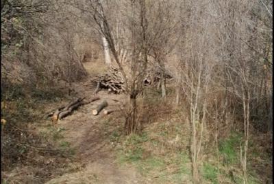 Teren Construcții intravilan de 2000 mp, în Telega - 4