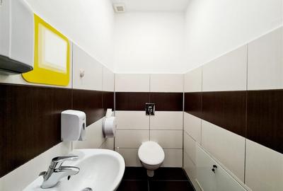 Iancu Nicolae / Vila 4 dormitoare /Garaj - 11