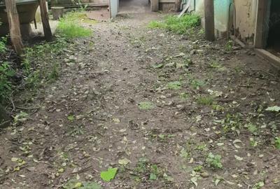 Casă cu 2 camere în Luncași - 5