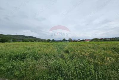 Teren de 1495 mp, în Dobreni - 8