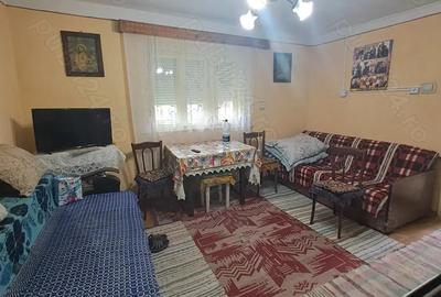 Vand casa in Someseni, comuna Apa - 10