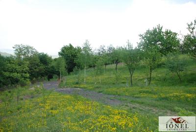 Casa de vanzare cu 47.880 mp teren in Vintu de Jos - Mereteu - 5
