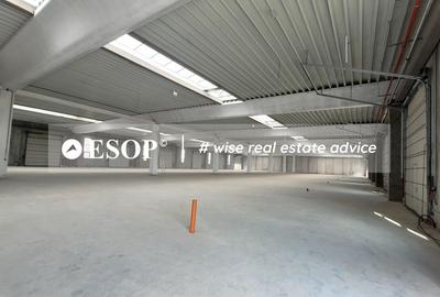 Hale industriale, parc modern, Rudeni, Chitila, Ilfov- ID 15462 Hale industriale, parc modern, Rudeni, Chitila, Ilfov- ID 15462 - 25