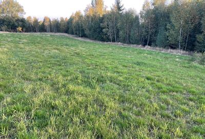 Spațiu comercial, în Dealu Mare - 8