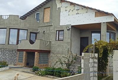 Casă spațioasă lângă Dunăre | Piscina | 1280m2 - 5