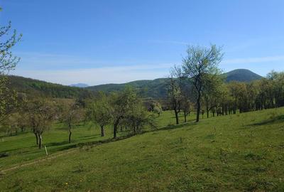 Teren intravilan de 11423 mp, în Luncoiu de Jos - 16