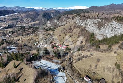 Teren Construcții intravilan de 4219 mp, în Dâmbovicioara - 3