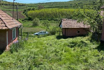 Casă cu 2 camere în Buza - 4