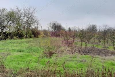 Casă cu 3 camere cu Canalizare în Bărcănești - 8