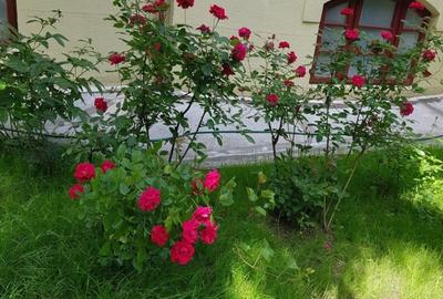 Casă cu 10 camere cu Canalizare în Cișmigiu - 3