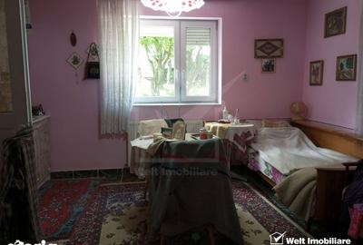 Casă cu 3 camere cu Teren 3320 Mp în Căpușu Mare - 5