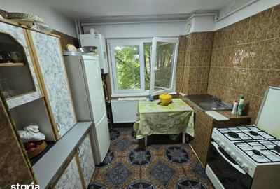 Apartament cu 2 camere semidecomandat în Banat - 4