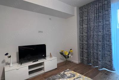 Apartament 1 camera de inchiriat freya - 3