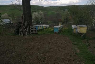 Casă cu 4 camere cu Teren 2290 Mp în Central - 2