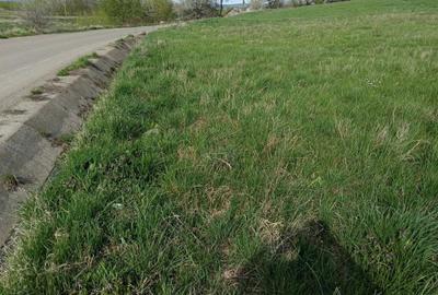 Teren de 2000 mp, în Stânca - 3