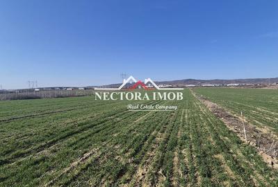 Teren de 537 mp, în Central - 6
