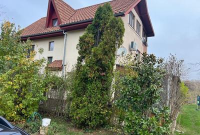 Teren Construcții intravilan de 8000 mp, în Ghermănești - 1