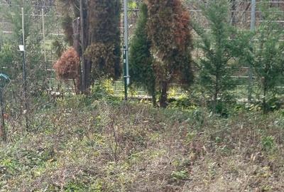 Property 7500m2 a hillside - 11