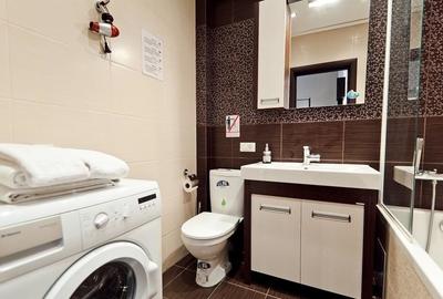 Inchiriere un apartament cu o camera zona Campului - 3