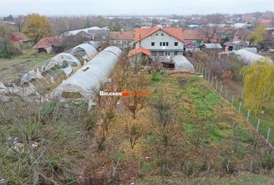 Casă cu Teren 2877 Mp în Mihai Bravu - 1