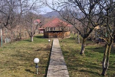 Casă cu 8 camere cu Teren 1500 Mp în Central - 3