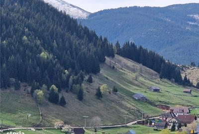 Teren de 6966 mp, în Fundata - 3