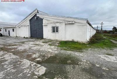 Hale de inchiriat localitatea M. Kogalniceanu Tulcea - 1