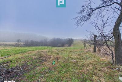 Casă cu 3 camere în Rontău - 5