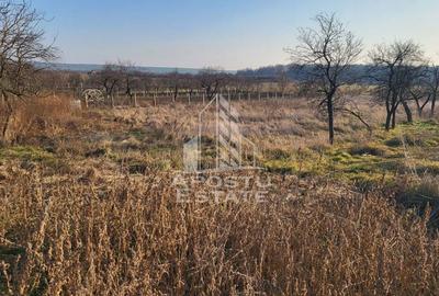 Teren de 3844 mp, în Pișchia - 6