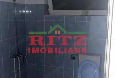 Vila Sp. comercial+teren S=900 mp, Redea! - 1