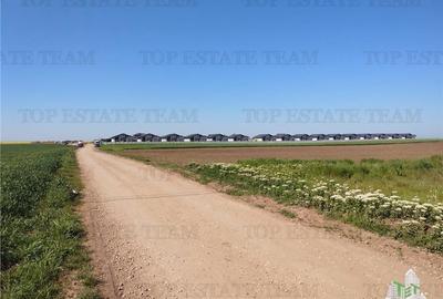 Teren intravilan - vanzare - Calarasi - Frumusani Teren intravilan - vanzare - Calarasi - Frumusani - 3