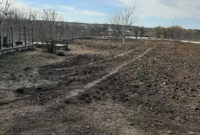 Teren Construcții intravilan de 6342 mp, în Corbeanca - 6