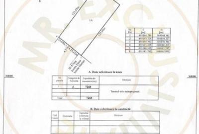 Teren intravilan 7.268 mp industrial Bradu-Auchan - 4