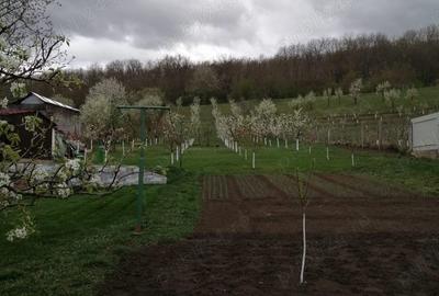 Casă cu 2 camere cu Teren 2984 Mp în Avrămești - 7