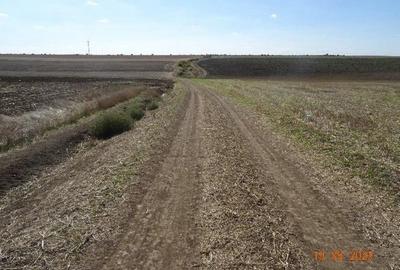 Teren de 9500 mp, în Cobadin - 5