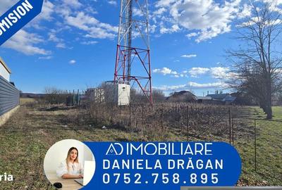 Spațiu comercial, în Drăguțești - 3