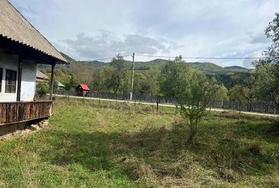Teren în Nucșoara - 5