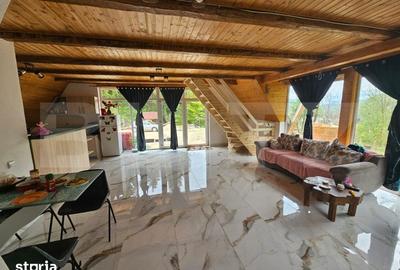 Casă cu 4 camere cu Teren 4565 Mp în Avram Iancu - 4