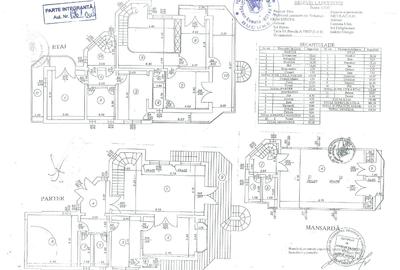 Vila deosebita Iancu Nicolae - British School - 6